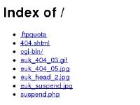 Index of / Index of /