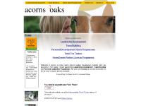 Home Leadership Development Team Building Horse Home Leadership Development Team Building Horse