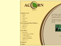 Acorn Seeds