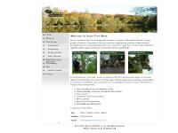 Acorn Tree Work Acorn Tree Work