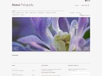acorusfineart.co.uk Commissions, Framing & Finishes, Log-in acorusfineart.co.uk Commissions, Framing & Finishes, Log-in