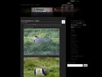 acousticlight.net Direct to Stereo, Phonography, Phonographer acousticlight.net Direct to Stereo, Phonography, Phonographer