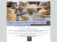 acozni.co.uk Selkirk Rex, Cats, Curly cats acozni.co.uk Selkirk Rex, Cats, Curly cats