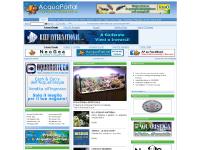 Acquari Acquariofilia AcquaPortal - AquaPortal Il portale di acquariofilia e degli acquari tropicali acquari tropicali acquariofilia e acquariologia.