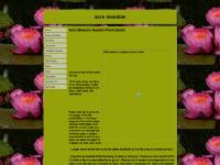Acre Meadow Aquatic/Pond plants Acre Meadow Aquatic/Pond plants