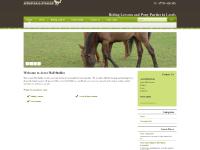 acreshallstables.co.uk Ecogreen, Gallery, Riding Lessons acreshallstables.co.uk Ecogreen, Gallery, Riding Lessons
