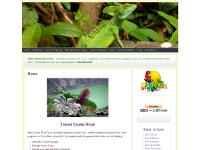 Best of Guanacaste, Tortuguero, Student/Group Travel, Discount Airfare  Best of Guanacaste, Tortuguero, Student/Group Travel, Discount Airfare