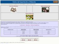 Centro de Capacitación a Distancia