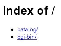 Index of /