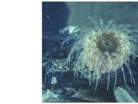 Untitled Document Untitled Document