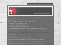 Activ8 Martial Arts Canberra Australia