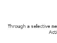 Active Dental Active Dental