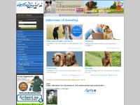 Aktivera din hund och dig själv med roliga aktiviteter ... Aktivera din hund och dig själv med roliga aktiviteter ...