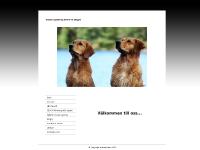 activegolden.se activegolden.se