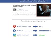 actu-buzz.fr chien, piano, video actu-buzz.fr chien, piano, video