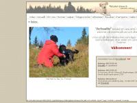 Actualis Kennel Actualis Kennel