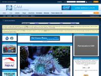 Nuevos mensajes, Calendario, Comunidad, Grupos Nuevos mensajes, Calendario, Comunidad, Grupos