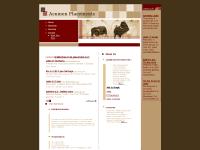  Europe, Dubai, Singapore, UAE