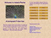 adamsphotos.co.uk