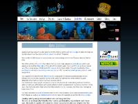 adangseadivers.com diving, Koh Lipe, Ko Lipe