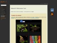 Adarsh R Welcomes You! Adarsh R Welcomes You!