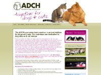 adch.org.uk cat rehoming, dog rescue, animal welfare