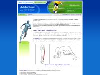 Adducteur, adducteurs docteur Janssen Adducteur, adducteurs docteur Janssen