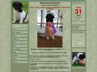 Caritas hemsida Caritas hemsida