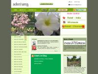 adeniumsindia.com HOW TO ORDER, Adenium Price List, Adenium Specimens adeniumsindia.com HOW TO ORDER, Adenium Price List, Adenium Specimens