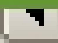 ADEPT SERVEYS ADEPT SERVEYS