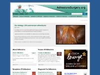 adhesionssurgery.org Adhesionssurgery, adhesionsurgery, adhesions surgery
