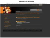 adi-systems.com