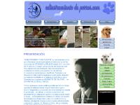  Contactar, Novedades, Artículos, Galeria