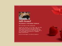 statistik för adils - adils.se