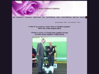 A`Dior Collies A`Dior Collies