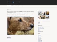 adogcalledbailey.co.uk