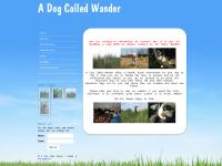 A Dog Called Wander - Home