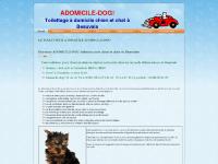 LE TOILETTEUR A DOMICILE ADOMICILE-DOG LE TOILETTEUR A DOMICILE ADOMICILE-DOG