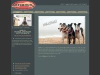 Welcome to Adopt a Greyhound.org Welcome to Adopt a Greyhound.org