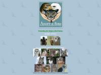 American Kestrel, Callie, Bald Eagle, Isaiah American Kestrel, Callie, Bald Eagle, Isaiah