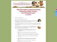 Guinea Pig Adoption Secrets Guinea Pig Adoption Secrets