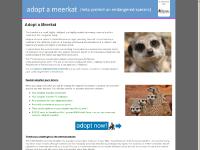 adoptameerkat.org.uk Adopt a Meerkat Today, Adopt a Meerkat, Adopt a Meerkat adoptameerkat.org.uk Adopt a Meerkat Today, Adopt a Meerkat, Adopt a Meerkat