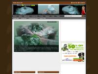 Adopt An Iguana - Learning all about caring for green iguana friends!