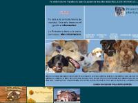 ALBERGUE ANIMALES MERINDADES ALBERGUE ANIMALES MERINDADES