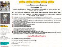 Adopting a Dog Adopting a Dog