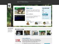  Text Now », No thank you, I don't want a call back., adopting an animal