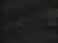 adrenalinquarry.co.uk