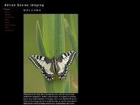  Mammals, Birds, Insects & Invertebrates, Flowering Plants