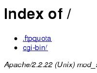 Index of / Index of /