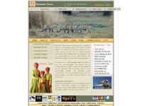 Best of India Tour, North India Tour, Backwaters of Kerala Tour, Forts and Palaces Tour  Best of India Tour, North India Tour, Backwaters of Kerala Tour, Forts and Palaces Tour